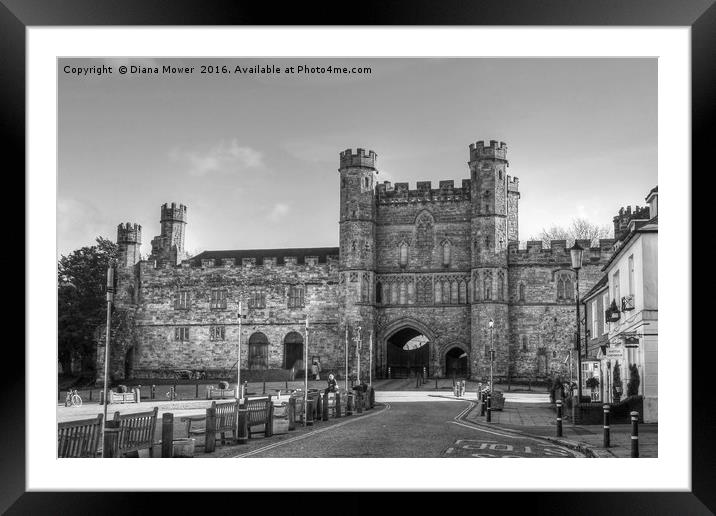 Battle Abbey   Framed Mounted Print by Diana Mower