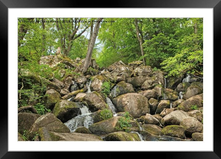 Becky Falls Devon Framed Mounted Print by Diana Mower