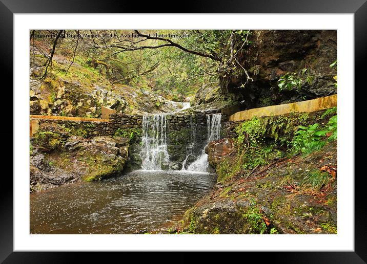 Ribeiro Frio Waterfall Framed Mounted Print by Diana Mower