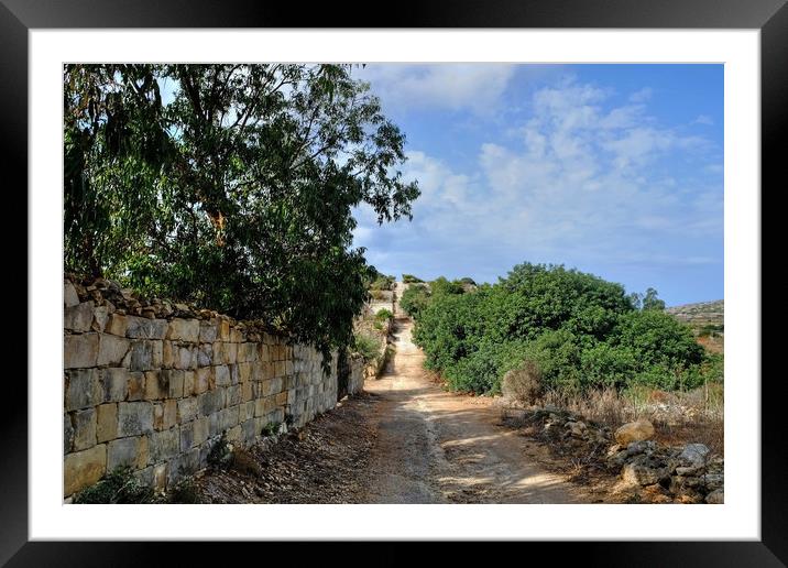 The Roman road Malta Framed Mounted Print by Diana Mower