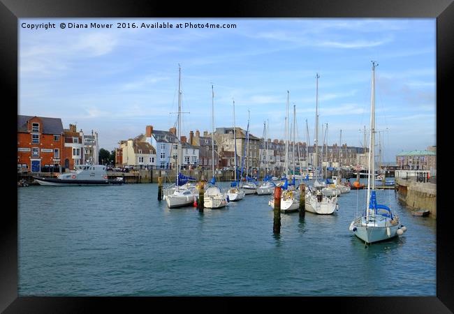 Weymouth Harbour  Framed Print by Diana Mower