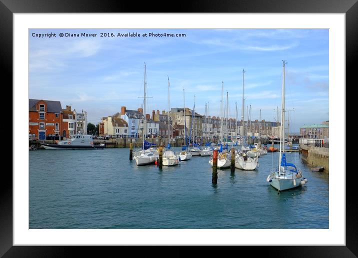 Weymouth Harbour  Framed Mounted Print by Diana Mower