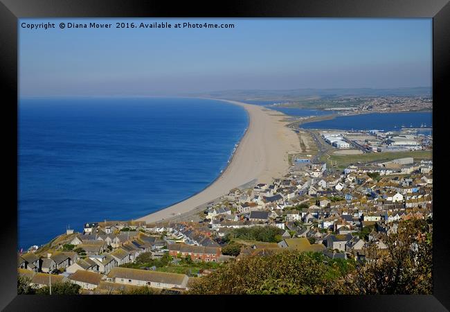 Chesil Beach Dorset  Framed Print by Diana Mower