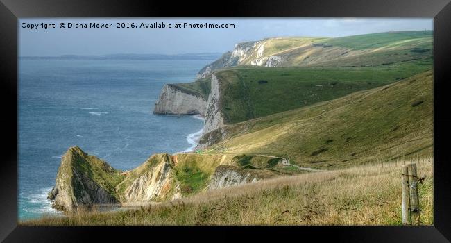 The Jurassic coast, Dorset. Framed Print by Diana Mower