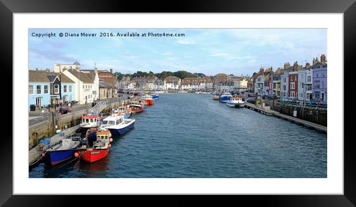 Weymouth Harbour Framed Mounted Print by Diana Mower