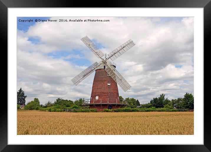 Thaxted windmill Framed Mounted Print by Diana Mower