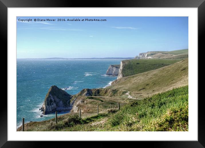 The South West Coast path  Dorset. Framed Mounted Print by Diana Mower