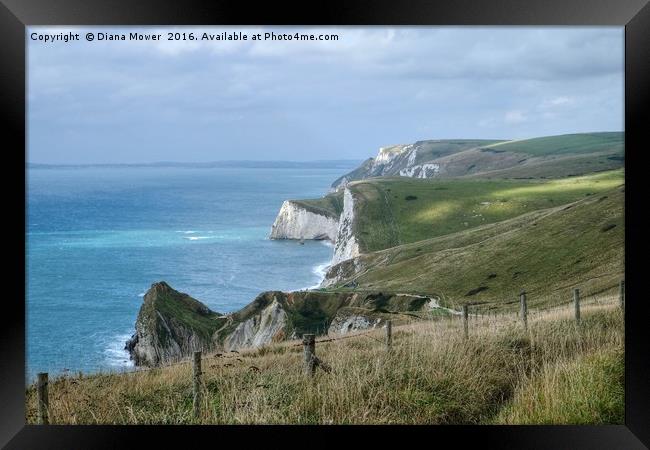 The Jurassic coast, Dorset. Framed Print by Diana Mower