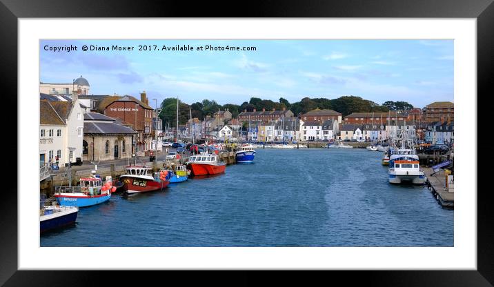 Weymouth Harbour Framed Mounted Print by Diana Mower