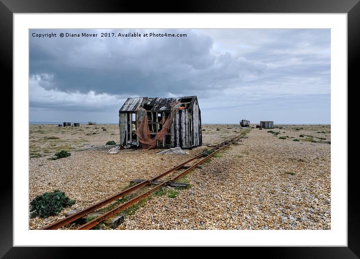 Stormy Dungeness Framed Mounted Print by Diana Mower
