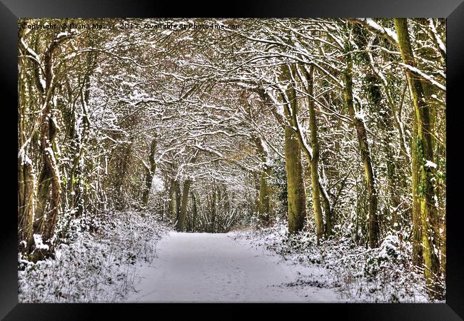 Winter in Essex Framed Print by Diana Mower