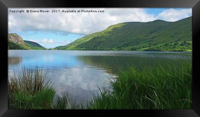 Llyn Cwellyn Snowdonia  Framed Print by Diana Mower