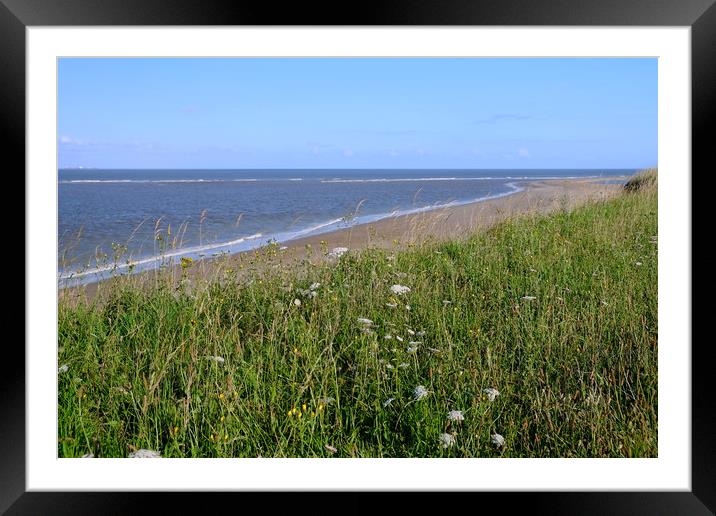 Pakefield cliffs and beach Framed Mounted Print by Diana Mower