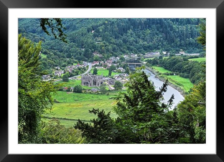 Tintern , Monmouthshire, Wales. Framed Mounted Print by Diana Mower