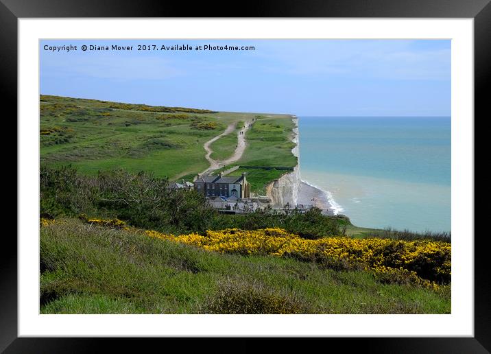 Birling Gap and The Seven Sisters  Framed Mounted Print by Diana Mower