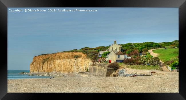 Cuckmere Beach Framed Print by Diana Mower