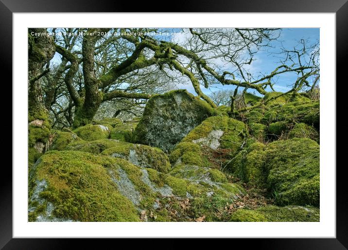 Wistman's Wood Dartmoor Framed Mounted Print by Diana Mower