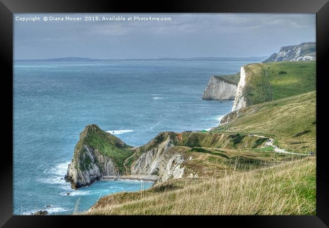 Man O' War Bay and the Jurasic Coast Framed Print by Diana Mower