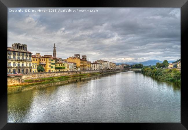 The river Arno Florence. Framed Print by Diana Mower