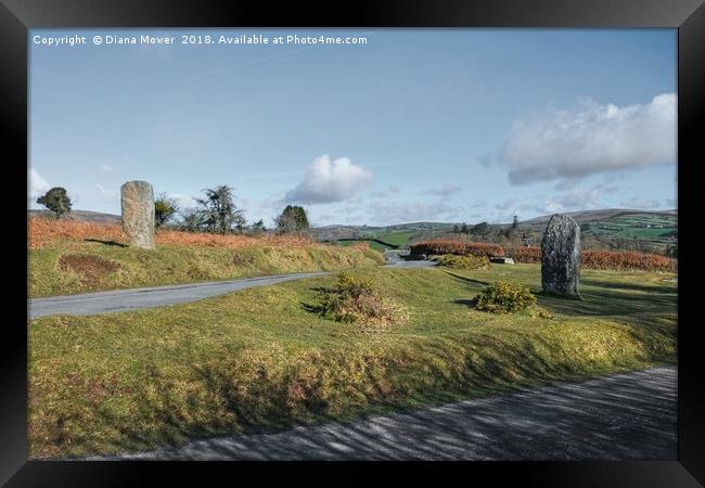 Leusdon , Dartmoor, Devon. Framed Print by Diana Mower