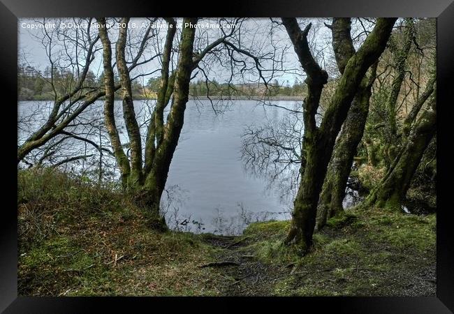 Venford Reservoir Framed Print by Diana Mower