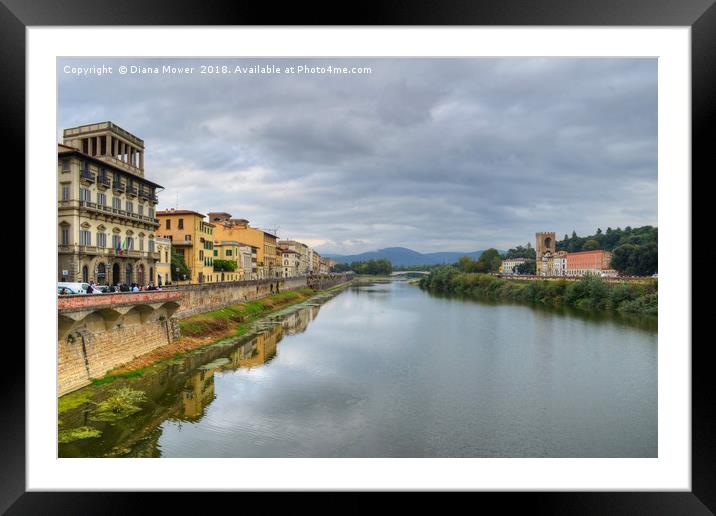 The river Arno Italy Framed Mounted Print by Diana Mower