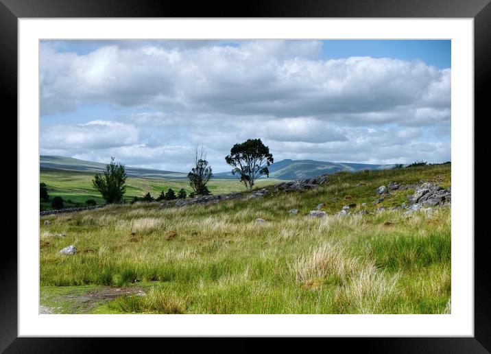 The  Brecon Beacons Framed Mounted Print by Diana Mower