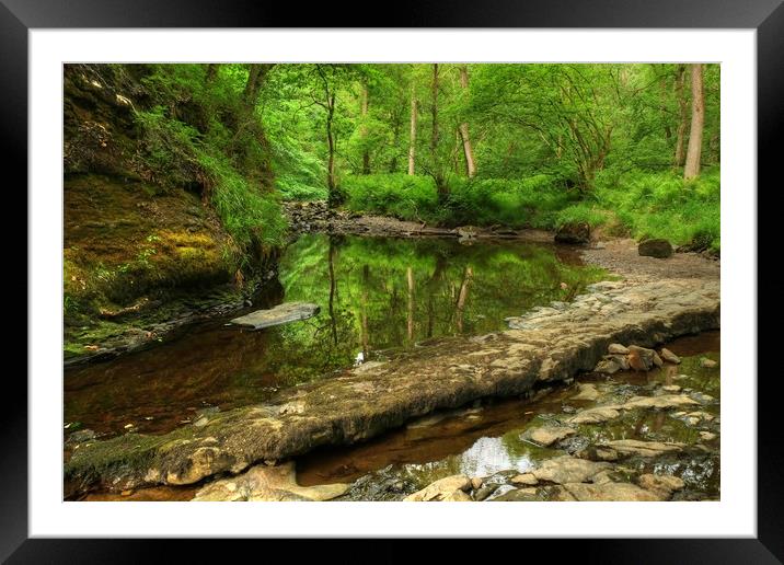 River Pyrddin Wales Framed Mounted Print by Diana Mower