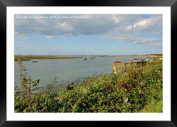 The Walton backwaters Framed Mounted Print by Diana Mower