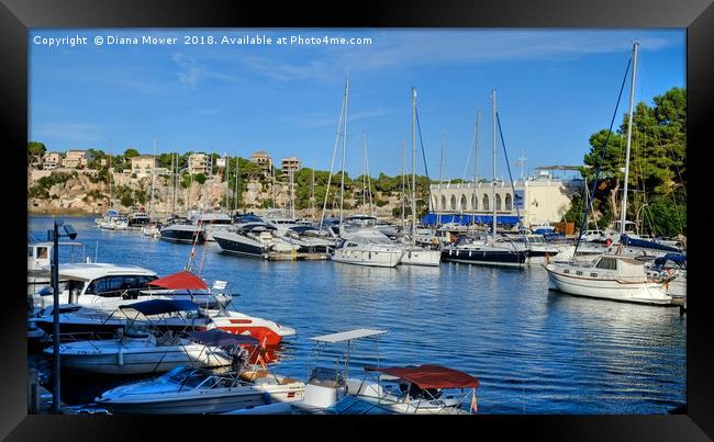 Porto Cristo Mallorca  Framed Print by Diana Mower