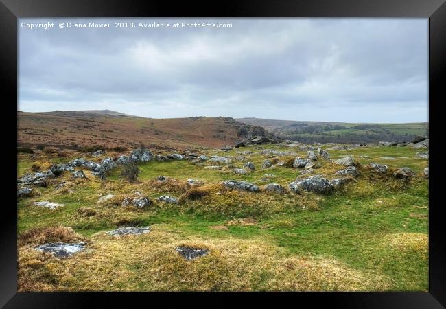 Dartmoor Hut Circles Framed Print by Diana Mower