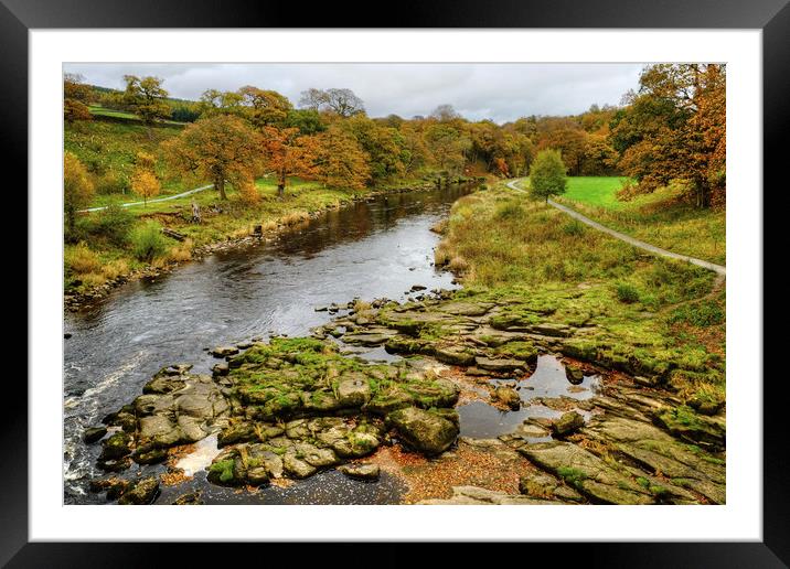 The River Wharfe Framed Mounted Print by Diana Mower