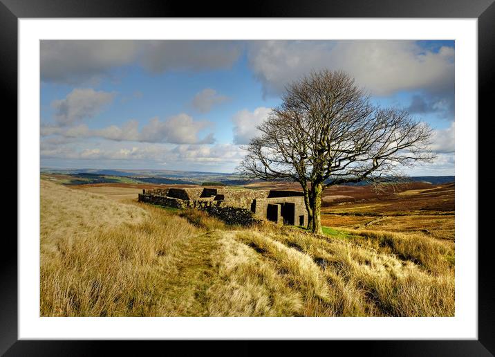  Top Withens in Bronte country Framed Mounted Print by Diana Mower