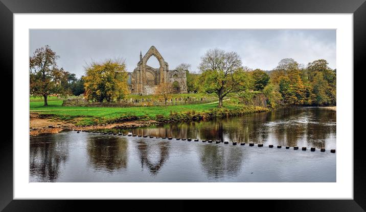 Bolton Priory Ruins Framed Mounted Print by Diana Mower