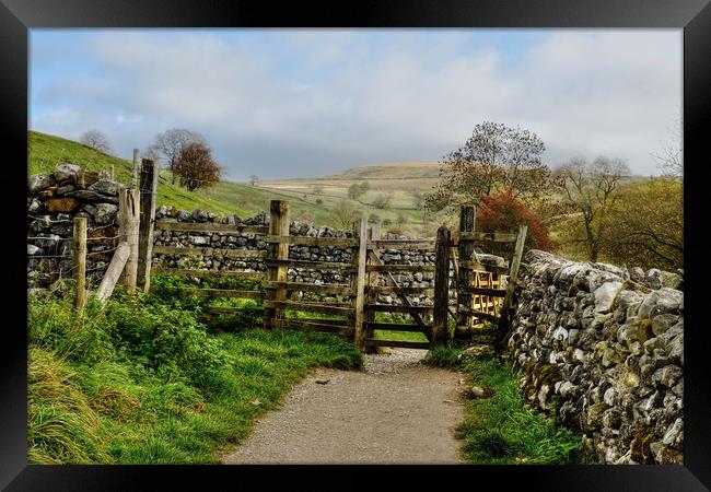 Malham Fields Framed Print by Diana Mower