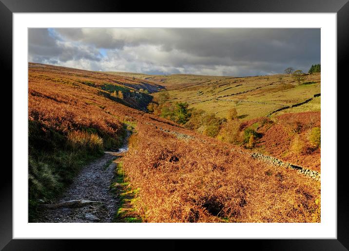  Yorkshire Dales  Framed Mounted Print by Diana Mower