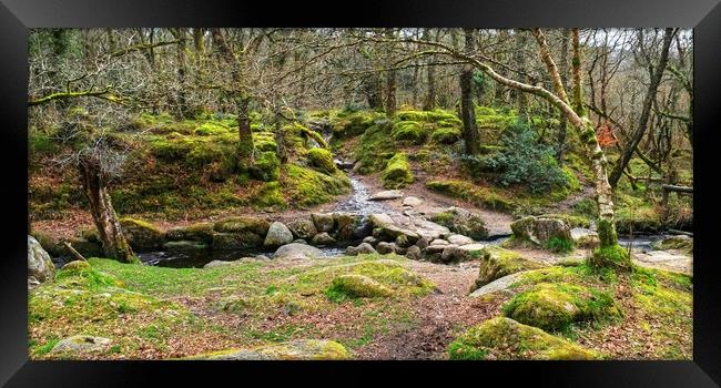 Becka Brook Dartmoor Framed Print by Diana Mower