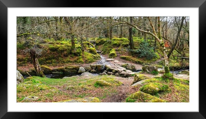 Becka Brook Dartmoor Framed Mounted Print by Diana Mower