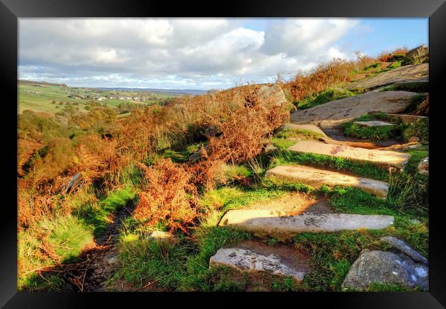 Yorkshire Dales Path Framed Print by Diana Mower