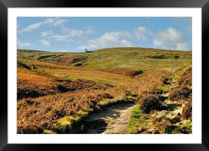 Path to Top Withens Framed Mounted Print by Diana Mower