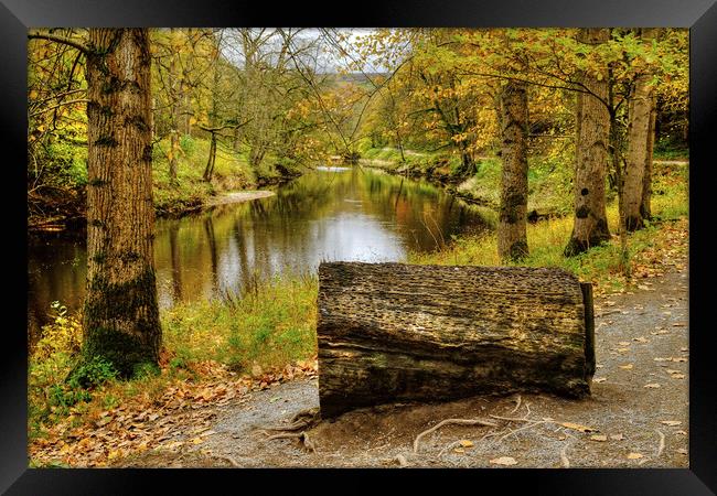 The River Wharfe Coin Seat Framed Print by Diana Mower