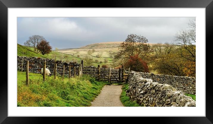 Malham Hills Yorkshire Framed Mounted Print by Diana Mower