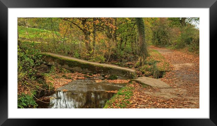 Wycoller Clam Bridge Lancashire Framed Mounted Print by Diana Mower