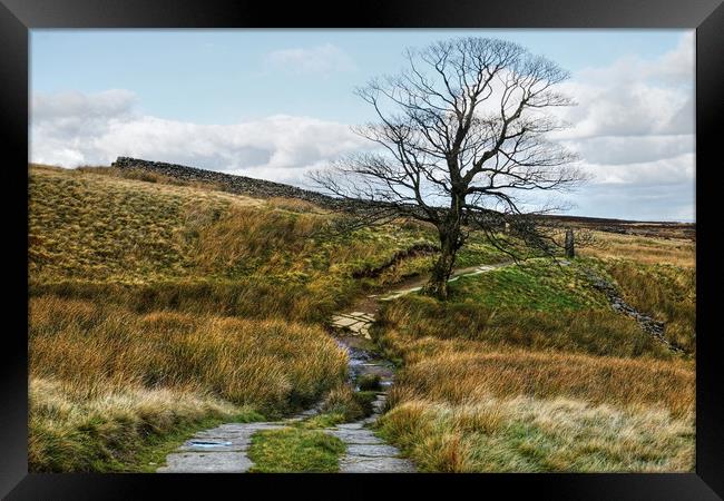 The Pennine Way Footpath Framed Print by Diana Mower