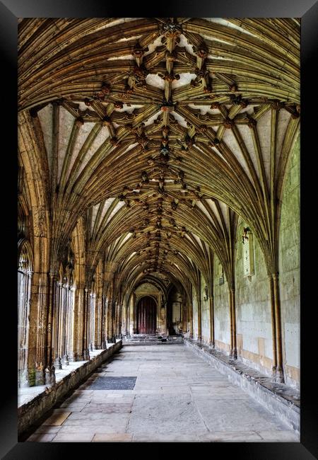 Canterbury Cathedral Cloisters Framed Print by Diana Mower