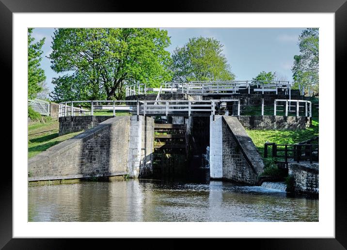 Bingley  Locks Framed Mounted Print by Diana Mower