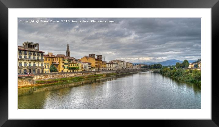 The river Arno Florence. Framed Mounted Print by Diana Mower