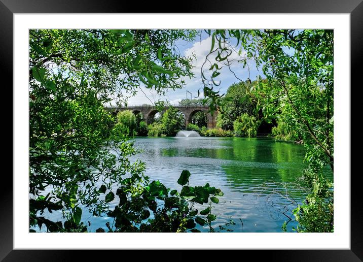 Chelmsford Central Park Lake Framed Mounted Print by Diana Mower