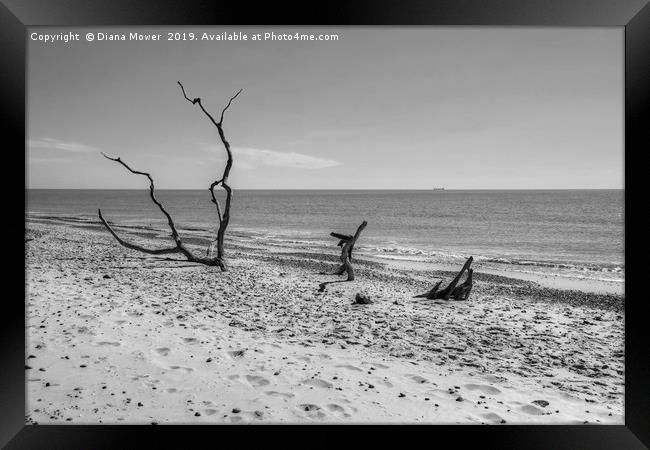 Covehithe Beach Monochrome Framed Print by Diana Mower