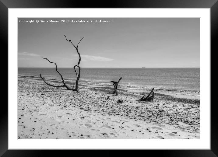 Covehithe Beach Monochrome Framed Mounted Print by Diana Mower